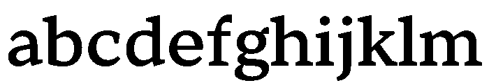 TT Norms Pro Serif Trl Md FONT