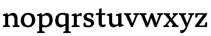 TT Norms Pro Serif Trl Md Font LOWERCASE