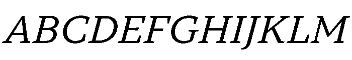 TT Norms Pro Serif Trl Nml It Font UPPERCASE
