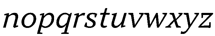 TT Norms Pro Serif Trl Nml It Font LOWERCASE