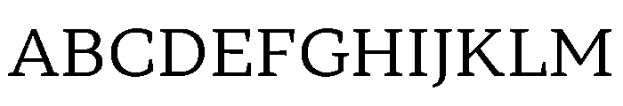 TT Norms Pro Serif Trl Nml Font UPPERCASE