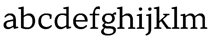 TT Norms Pro Serif Trl Nml FONT
