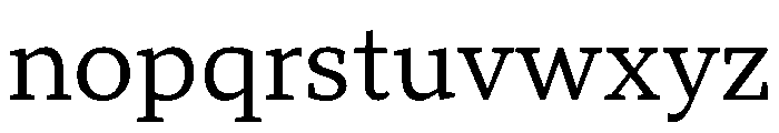 TT Norms Pro Serif Trl Nml Font LOWERCASE