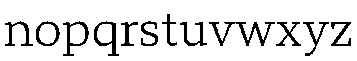 TT Norms Pro Serif Trl Rg Font LOWERCASE