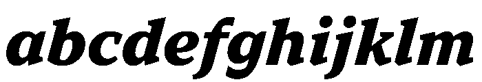 TT Norms Pro Serif Trl XBd It FONT