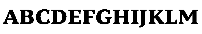 TT Norms Pro Serif Trl XBd Font UPPERCASE