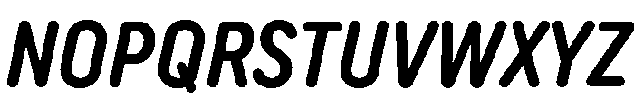 TT Rounds Neue Trl Cmd Db It Font UPPERCASE
