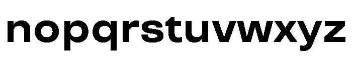 TT Travels Trl Bold Font LOWERCASE