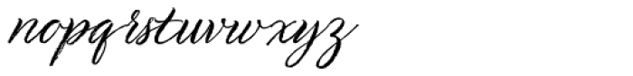 TT Berlinerins Script Font LOWERCASE