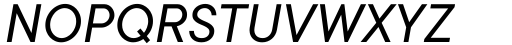 TT Commons Classic Variable Italic Font UPPERCASE