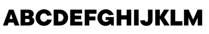 TT Commons Pro Black Font UPPERCASE