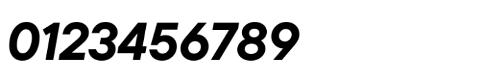 TT Commons Pro Bold Italic Font OTHER CHARS