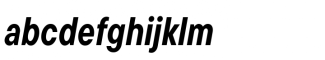 TT Commons Pro Condensed Bold Italic Font LOWERCASE