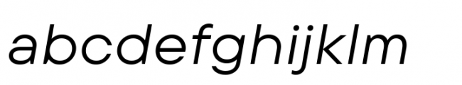 TT Commons Pro Expanded Italic Font LOWERCASE
