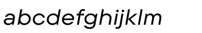 TT Commons Pro Expanded Normal Italic FONT