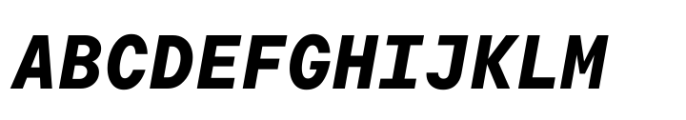 TT Commons Pro Mono Bold Italic Font UPPERCASE