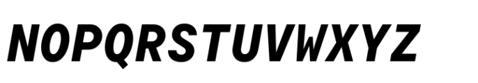TT Commons Pro Mono Bold Italic Font UPPERCASE