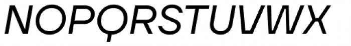 TT Firs Neue Variable Italic Font UPPERCASE