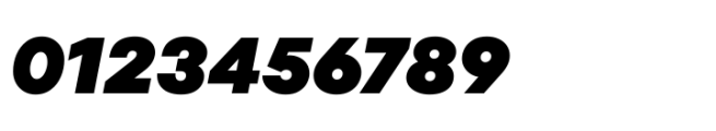 TT Fors Black Italic Font OTHER CHARS
