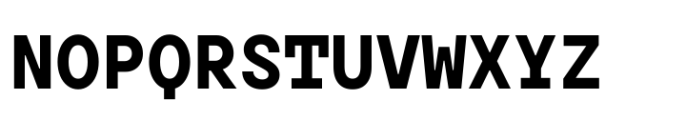 TT Hoves Pro Mono Bold Font UPPERCASE