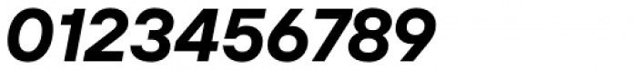 TT Interfaces Bold Italic Font OTHER CHARS