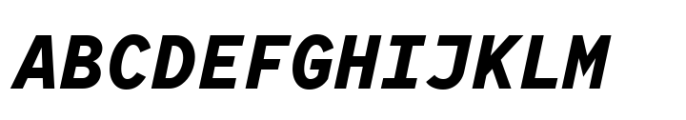 TT Norms Pro Mono Bold Italic Font UPPERCASE
