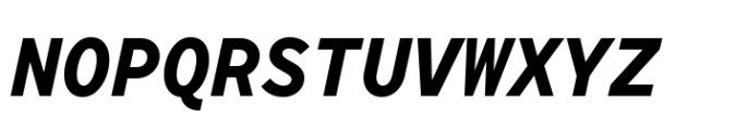 TT Norms Pro Mono Bold Italic Font UPPERCASE