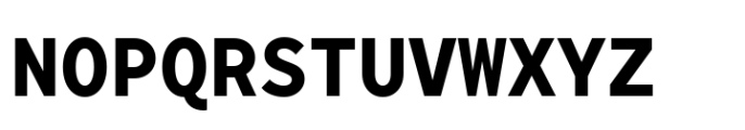 TT Norms Pro Mono Bold Font UPPERCASE