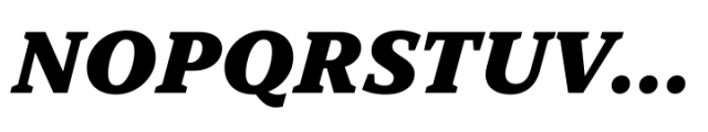 TT Norms Pro Serif Black Italic Font UPPERCASE