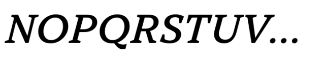 TT Norms Pro Serif Variable Italic Font UPPERCASE