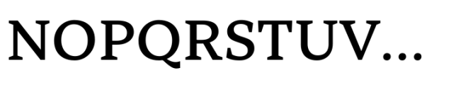 TT Norms Pro Serif Variable Roman Font UPPERCASE