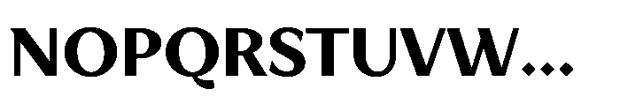 TT Quaris Bold Font UPPERCASE