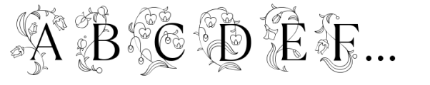 fontPreview