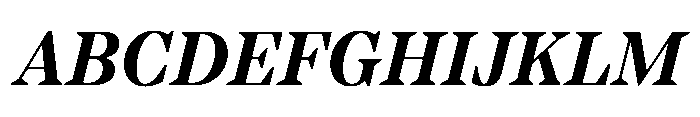 TT Regins Subhead Bold Italic Font UPPERCASE
