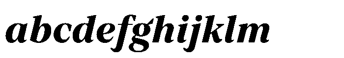 TT Regins Subhead ExtraBold Italic FONT