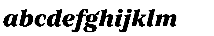 TT Regins Text Black Italic FONT