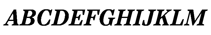 TT Regins Text Bold Italic Font UPPERCASE