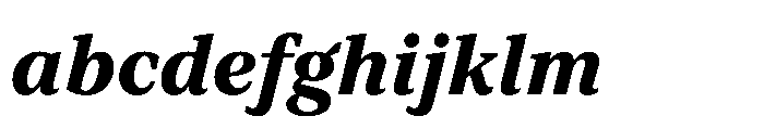 TT Regins Text ExtraBold Italic FONT