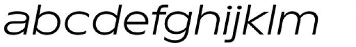TT Runs Variable Italic Font LOWERCASE