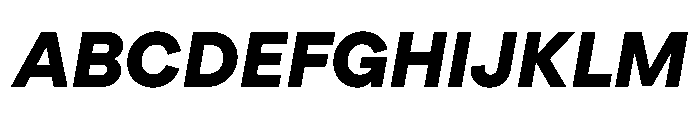 TT Turns Extra Bold Italic Font UPPERCASE