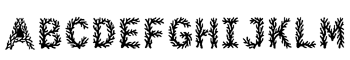 Tucson Regular Font UPPERCASE