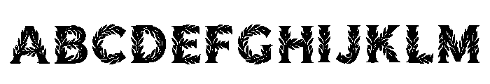 Turret Regular FONT