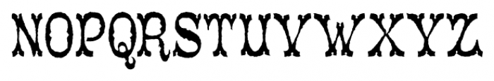 Tuscaloosa Rustic Font LOWERCASE