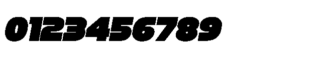 Turkin Display Bold Italic Font OTHER CHARS
