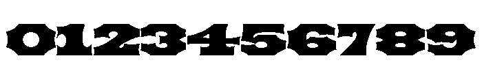 Tuscan Expanded Regular Font OTHER CHARS