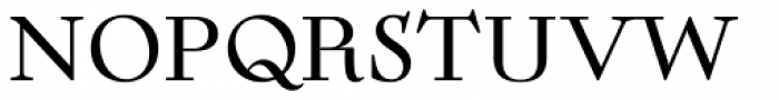 Twentytwelve Serif C Font UPPERCASE