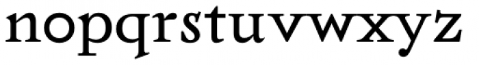 Twentytwelve Serif N Font LOWERCASE