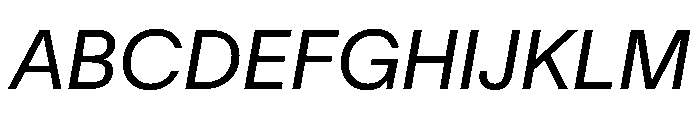 TWKLausanne 300Italic Font UPPERCASE
