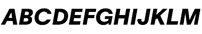 TWKLausanne 900Italic Font UPPERCASE