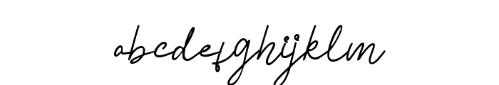 Tyloos Signature - Personal Use Font LOWERCASE
